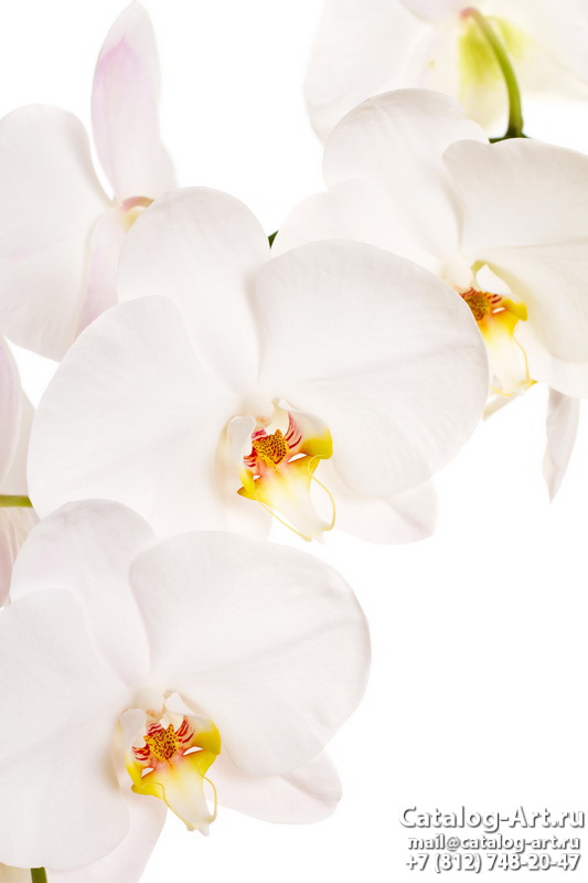 Натяжные потолки с фотопечатью - Белые орхидеи 13